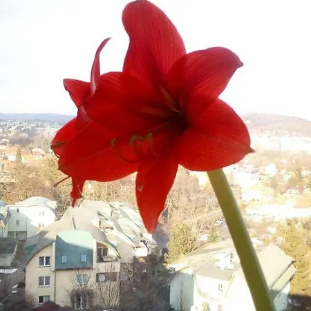Apartman Bvv Appartement *